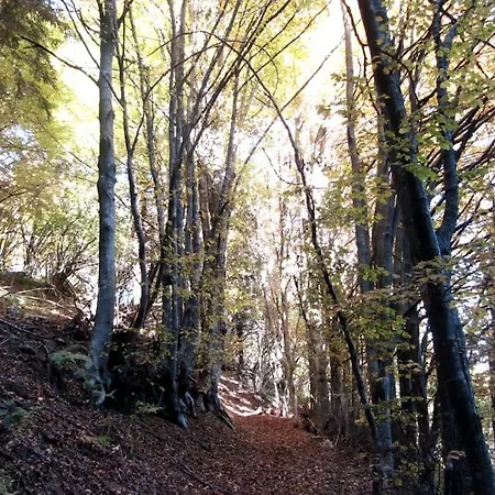 Horská chata Mountain *